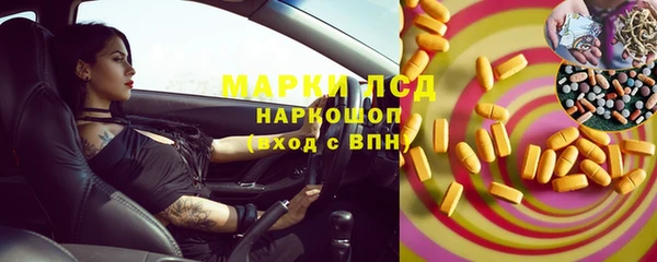 индика Абинск