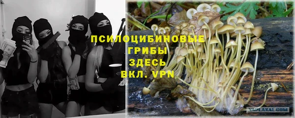 индика Абинск