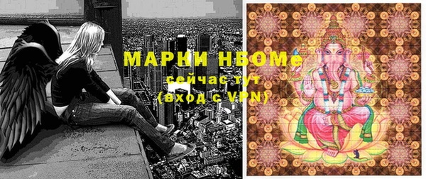 индика Абинск