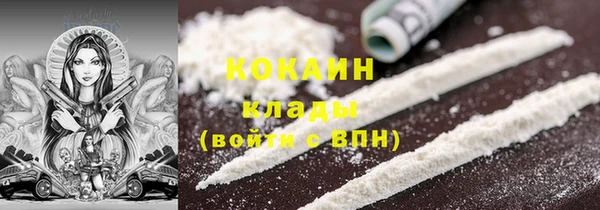 индика Абинск