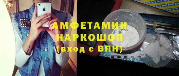 индика Абинск