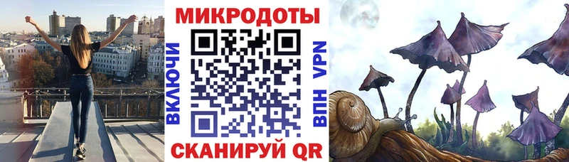 как найти   Шумерля  блэк спрут вход  Галлюциногенные грибы прущие грибы 